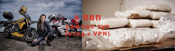 apvp Алексин