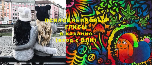 бошки Абинск