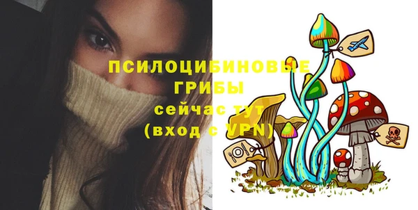 МДПВ Алексеевка