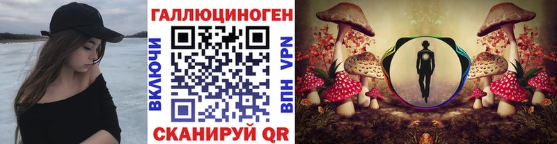 Псилоцибиновые грибы мицелий  Серафимович 